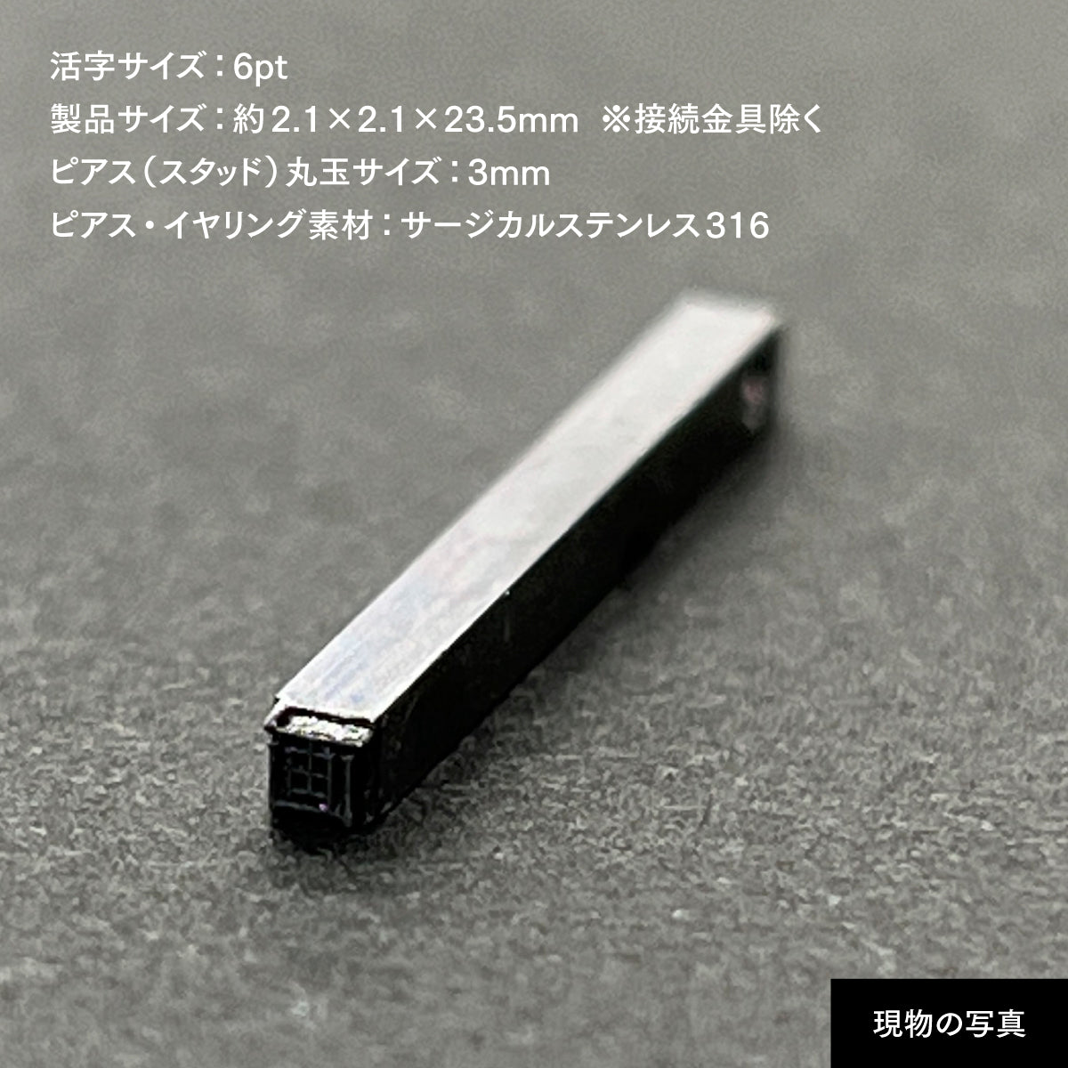 活字ピアス・イヤリング 6pt｜文字「画」