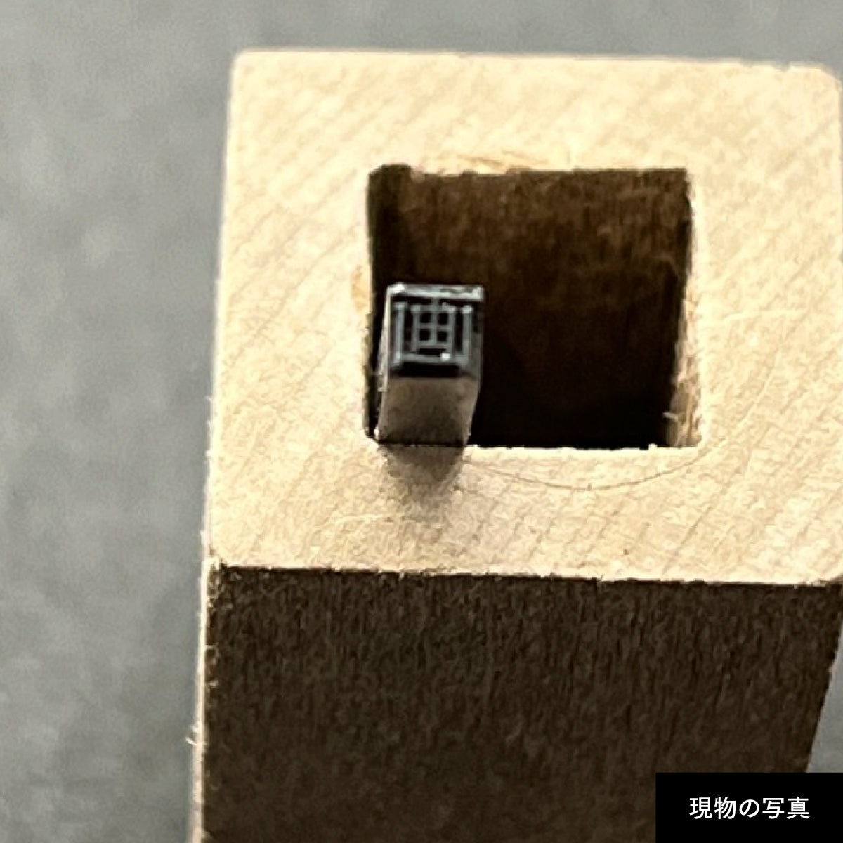 活字ピアス・イヤリング 6pt｜文字「画」