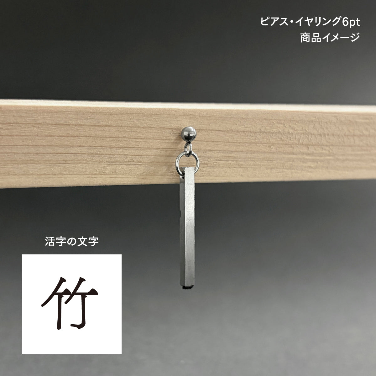 活字ピアス・イヤリング 6pt｜文字「竹」