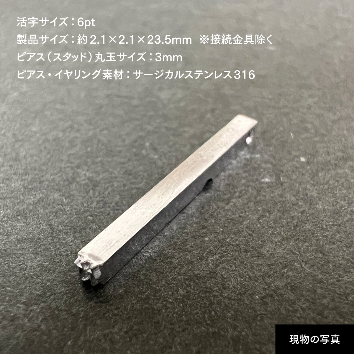 活字ピアス・イヤリング 6pt｜文字「竹」