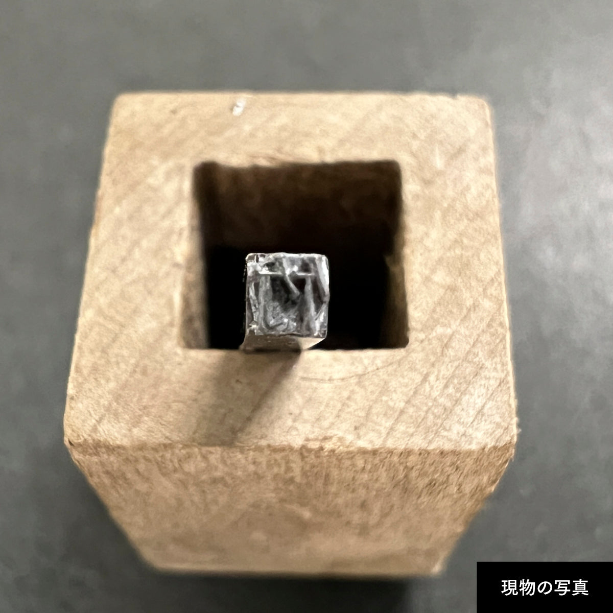 活字ピアス・イヤリング 6pt｜文字「竹」