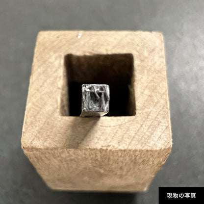 活字ピアス・イヤリング 6pt｜文字「竹」