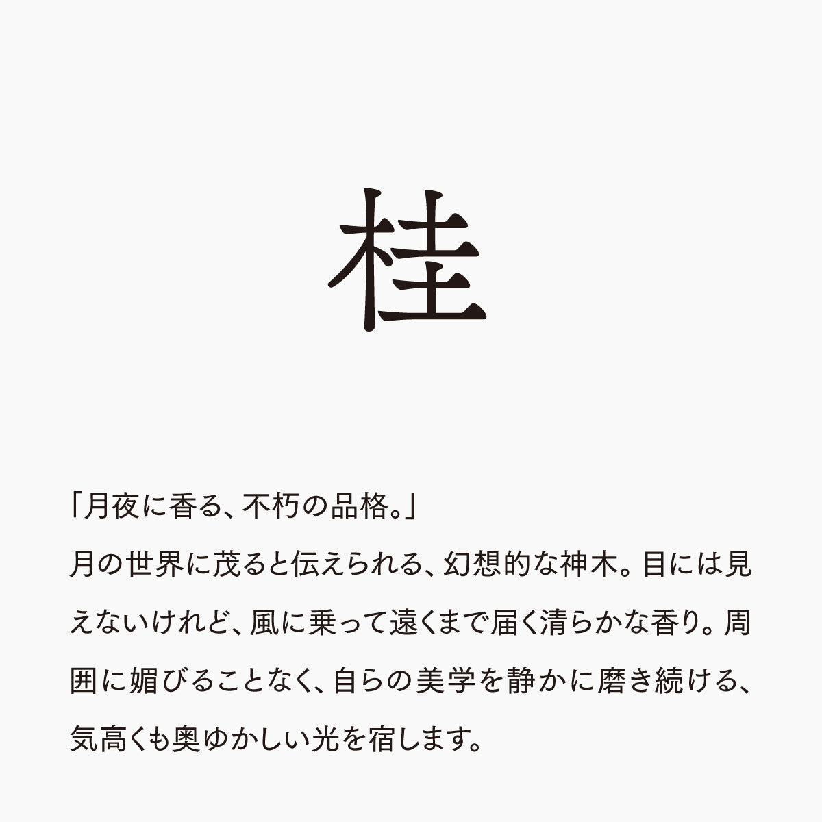 活字ピアス・イヤリング 8pt｜文字「桂」