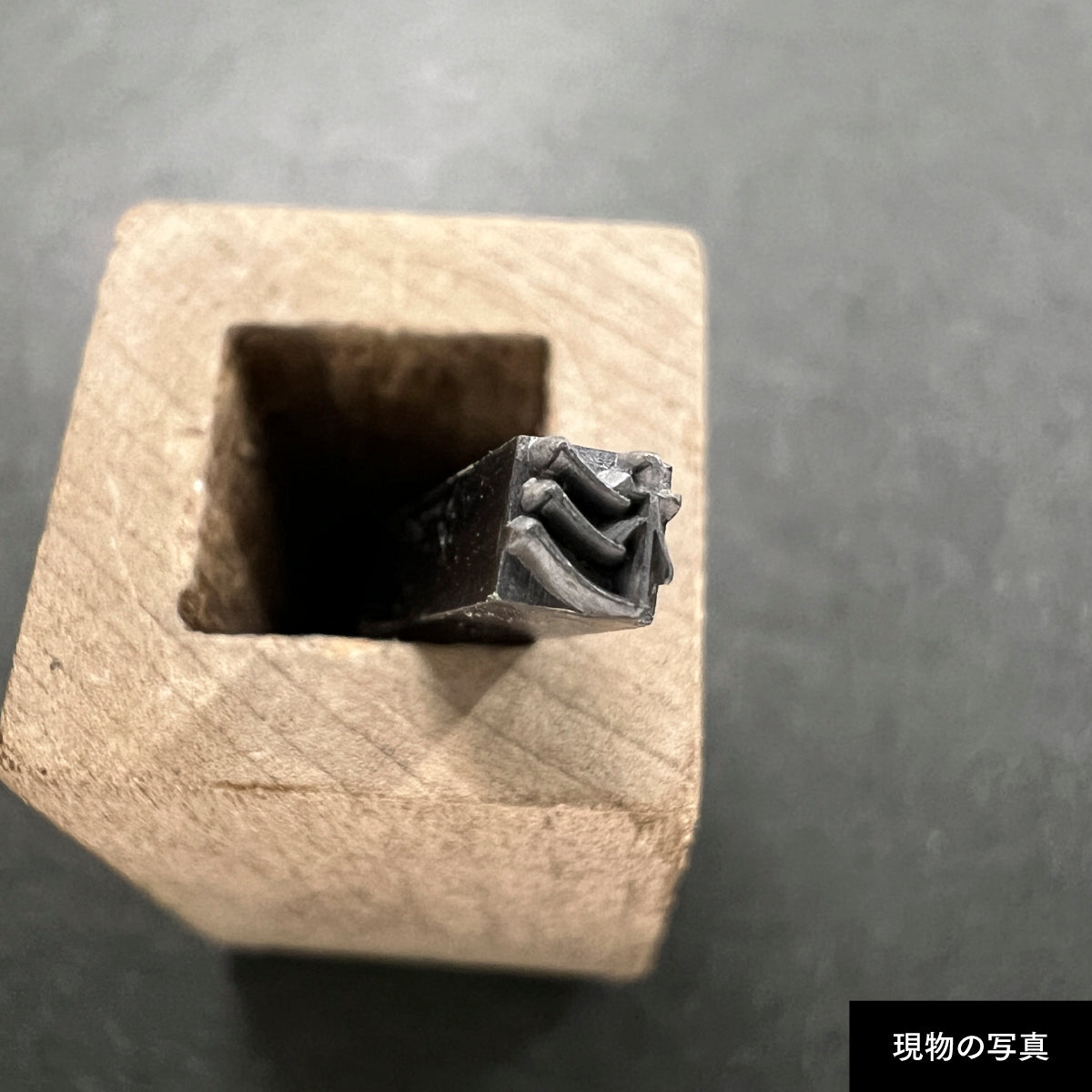 活字ピアス・イヤリング 8pt｜文字「杉」
