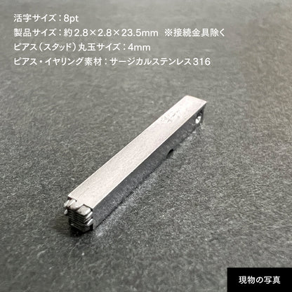 活字ピアス・イヤリング 8pt｜文字「書」