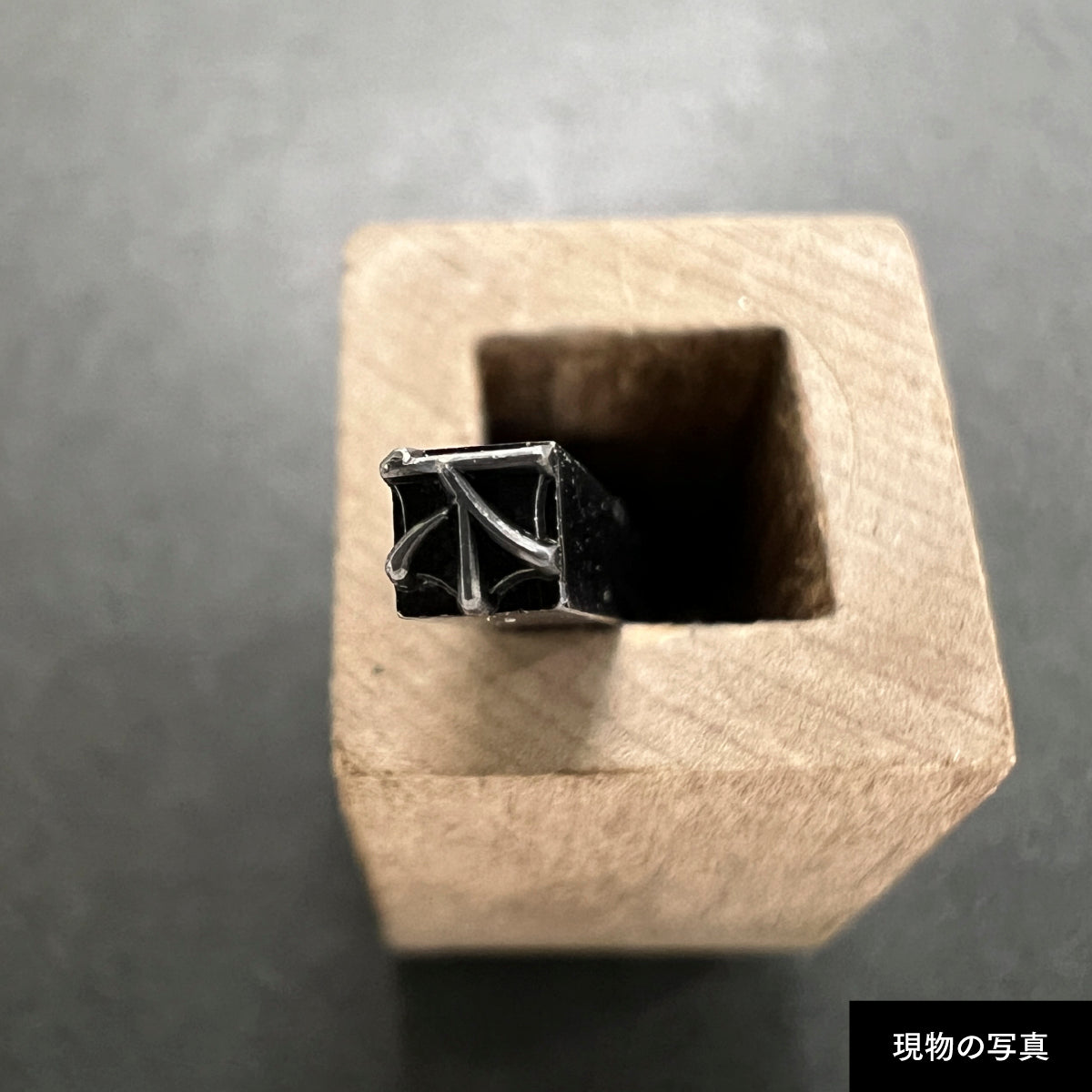 活字ピアス・イヤリング 8pt｜文字「不」
