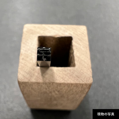活字ピアス・イヤリング 6pt｜文字「宇」