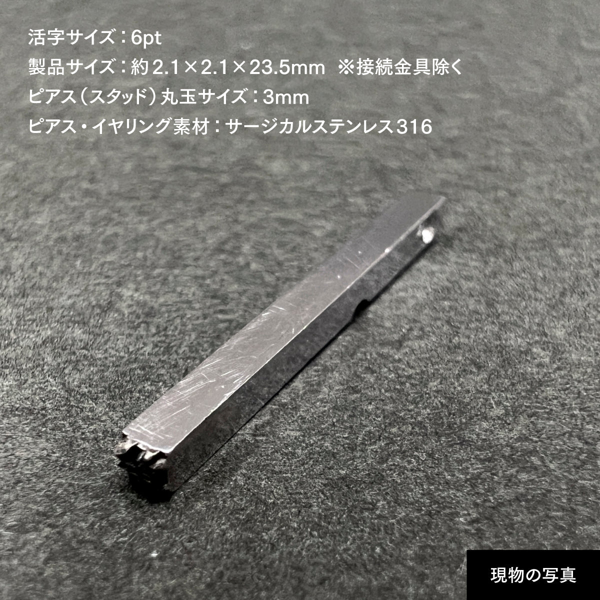 活字ピアス・イヤリング 6pt｜文字「幹」