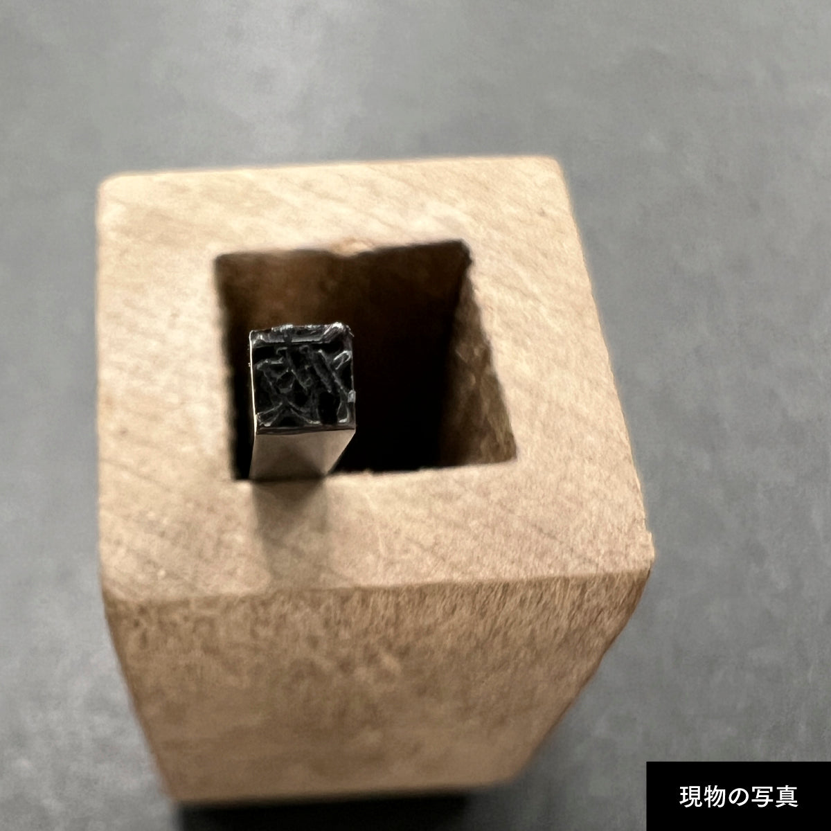 活字ピアス・イヤリング 6pt｜文字「液」