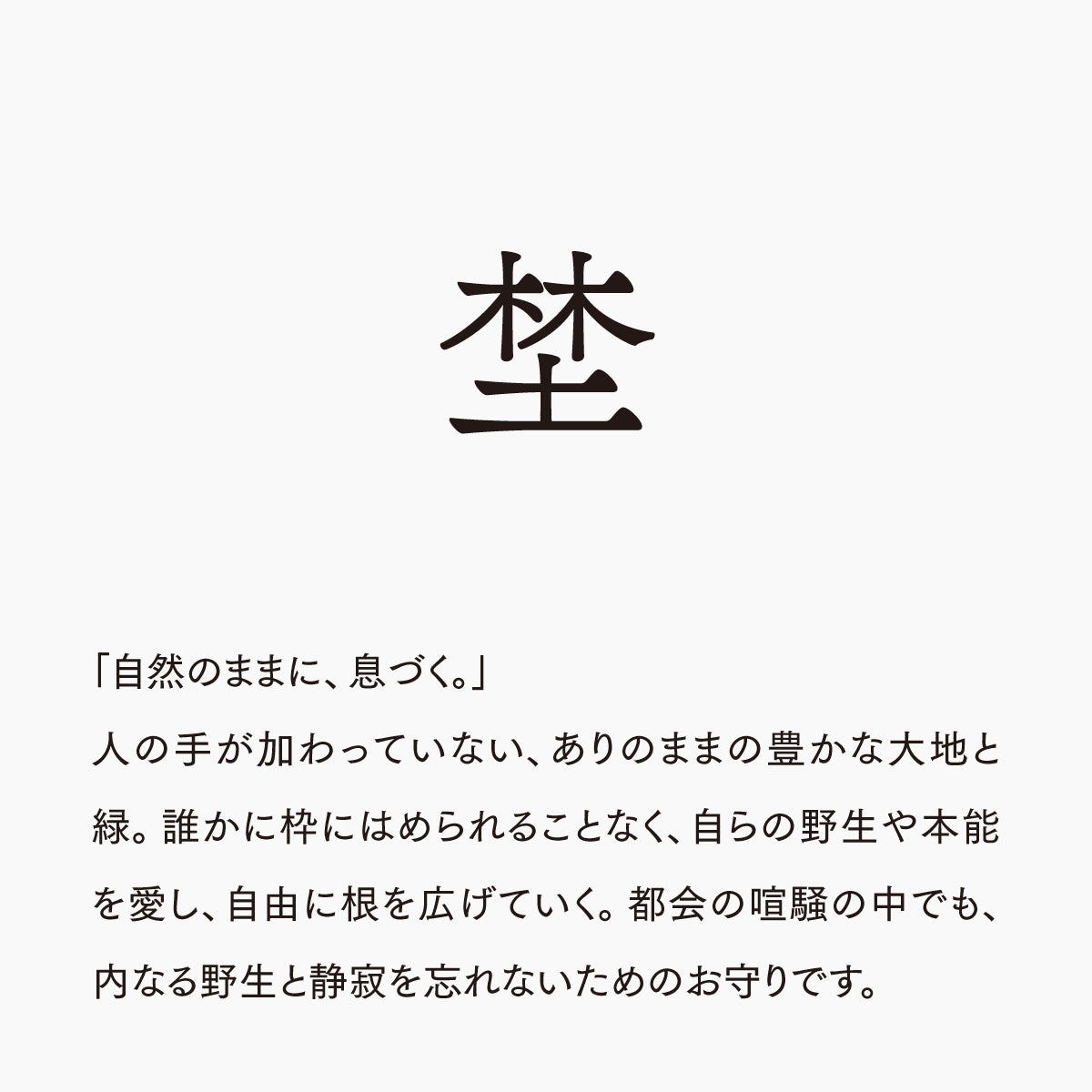 活字ピアス・イヤリング 6pt｜文字「埜」