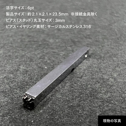 活字ピアス・イヤリング 6pt｜文字「埜」