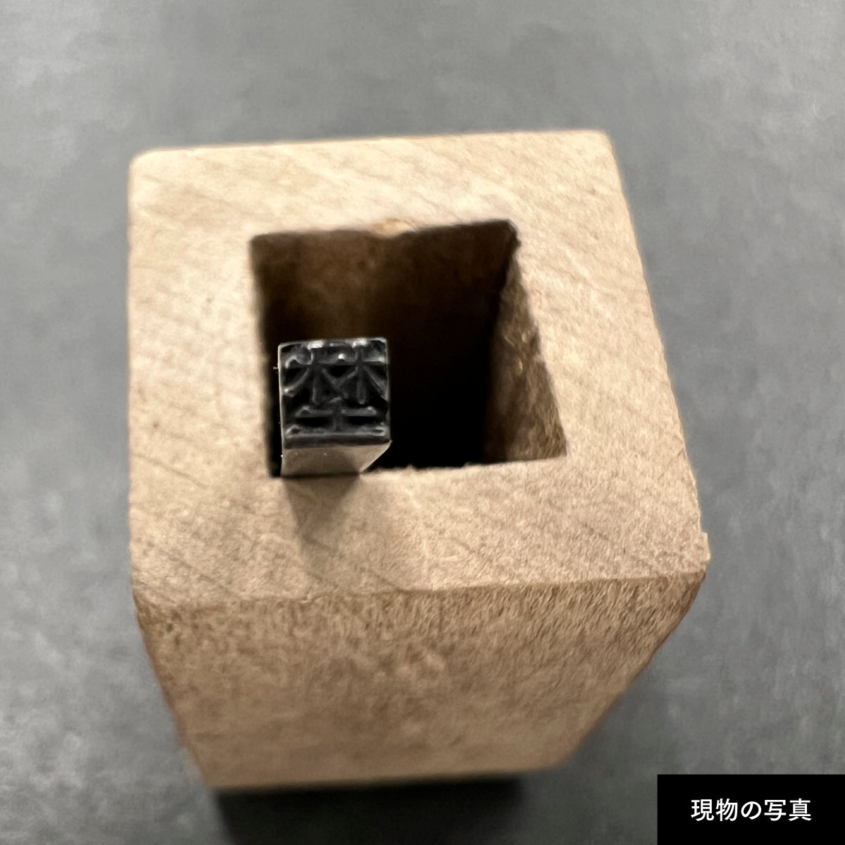 活字ピアス・イヤリング 6pt｜文字「埜」