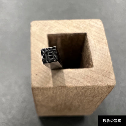 活字ピアス・イヤリング 6pt｜文字「郡」