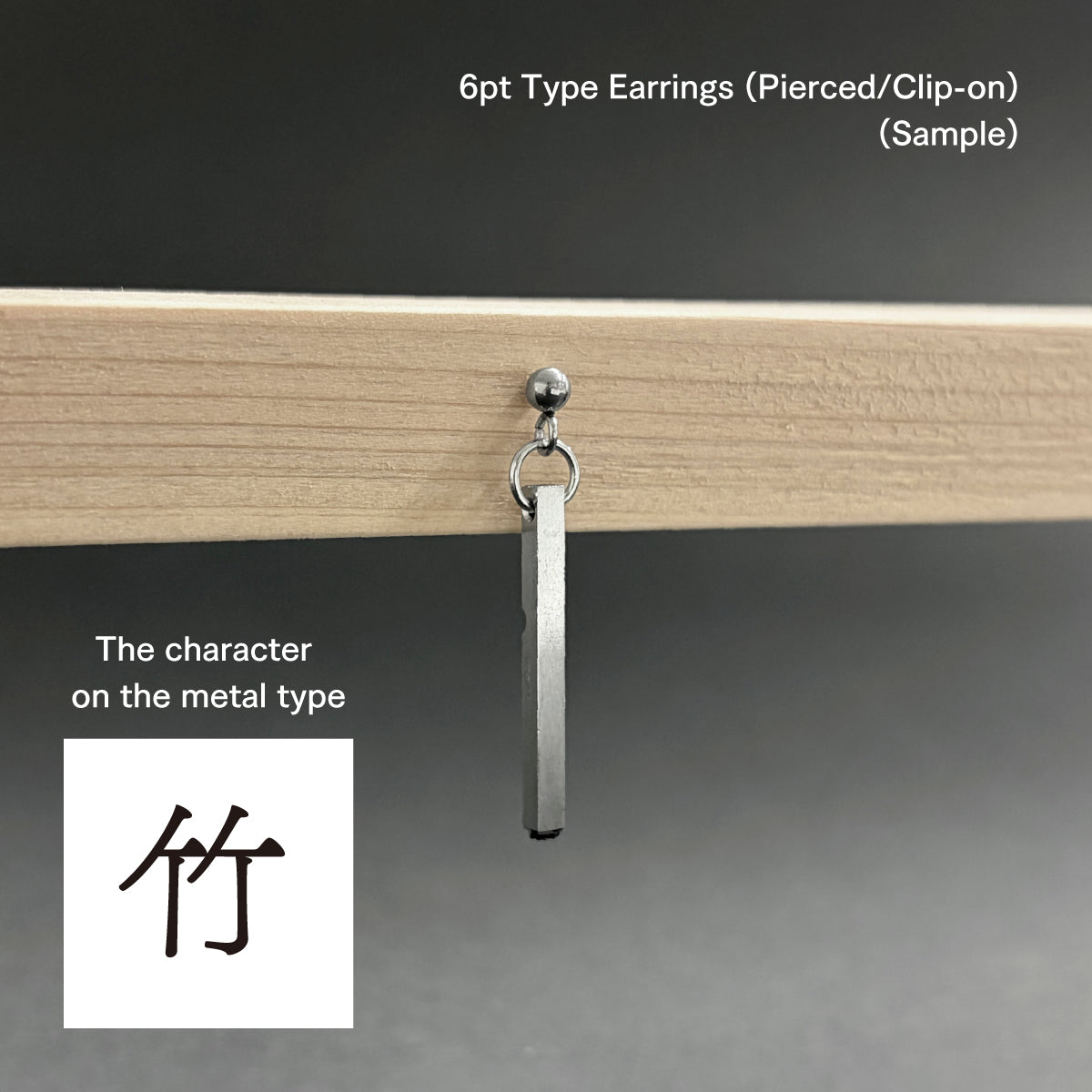 活字ピアス・イヤリング 6pt｜文字「竹」