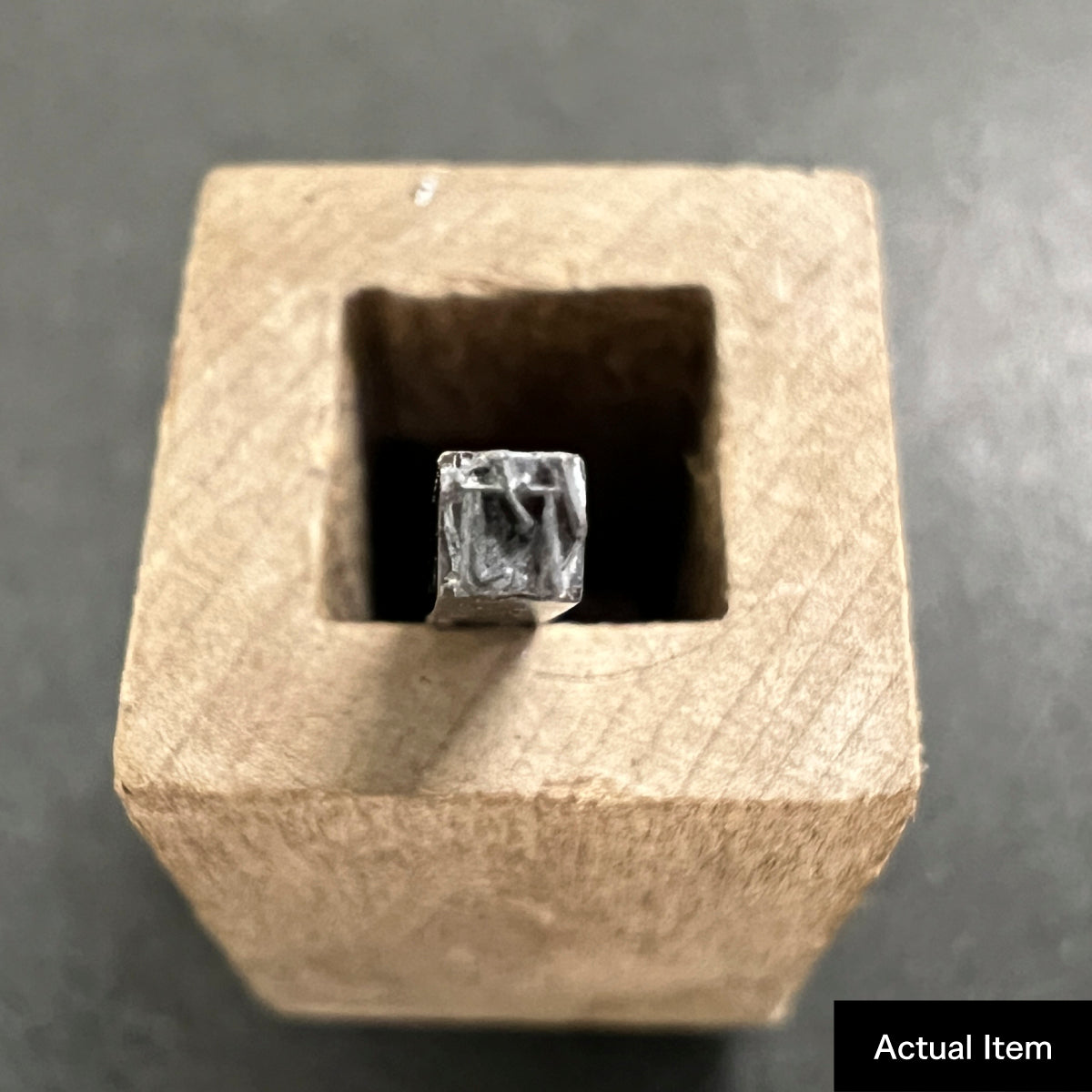 活字ピアス・イヤリング 6pt｜文字「竹」